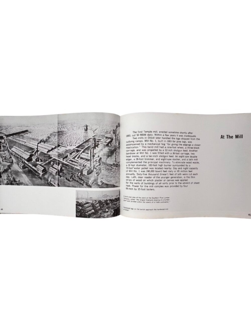 Axes Oxen & Men Pictorial History Southern Pine Lumber Co. East TX 1975 Forestry - Picture 12 of 14